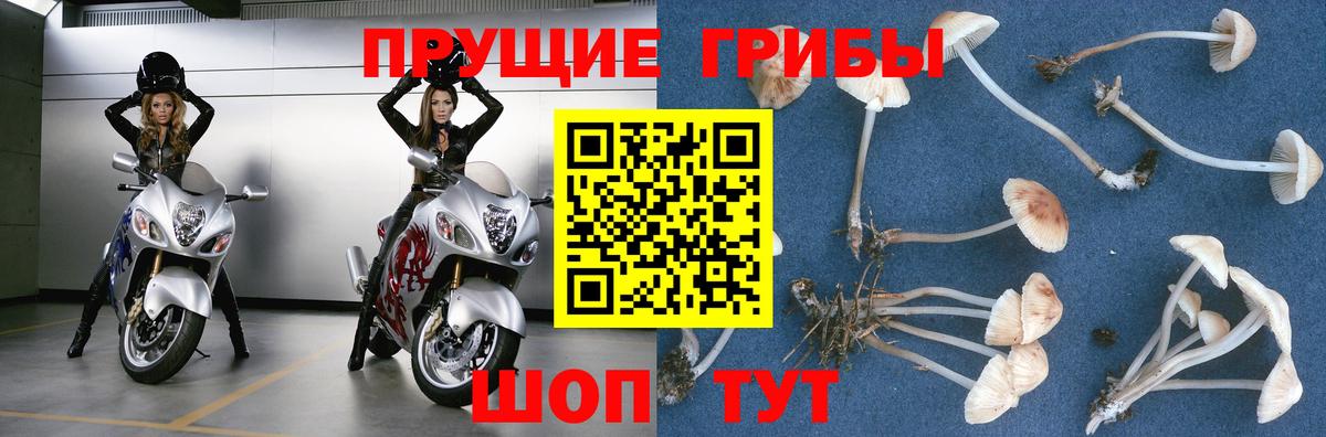 Сатка  Псилоцибиновые грибы Magic Shrooms  Вход с VPN 