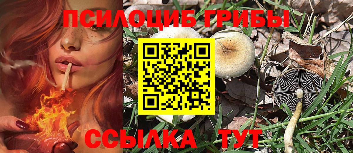 Галлюциногенные грибы GOLDEN TEACHER Сатка