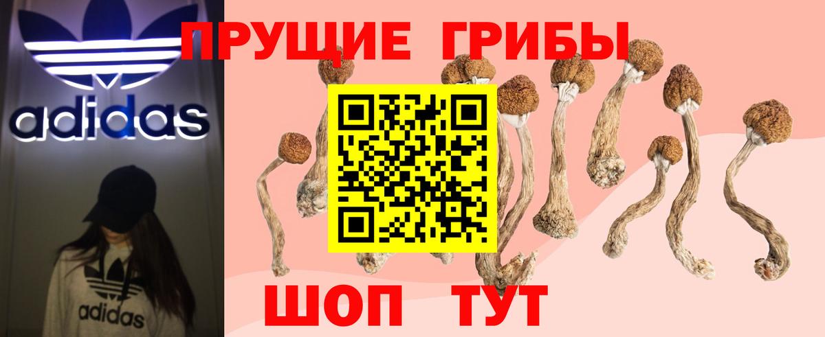 Галлюциногенные грибы Psilocybe  Сатка  Галлюциногенные грибы MAGIC MUSHROOMS 